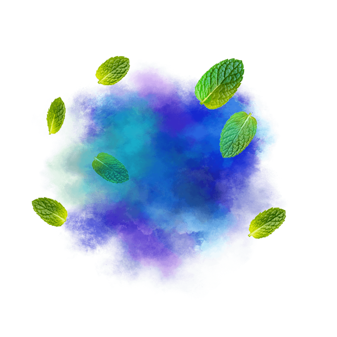Voss Decor Cosmic Mint