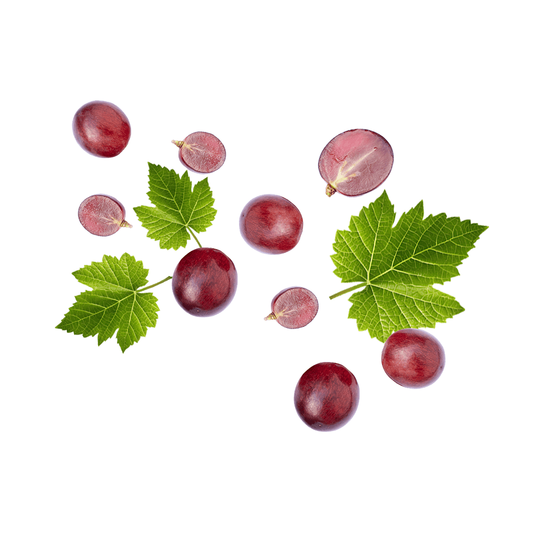 Voss Decor Grape Escape
