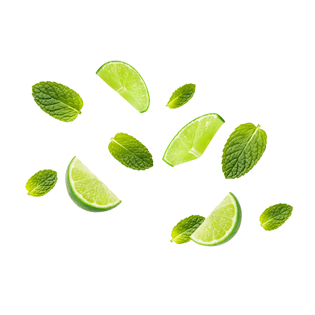 Voss Decor Mojito Lime